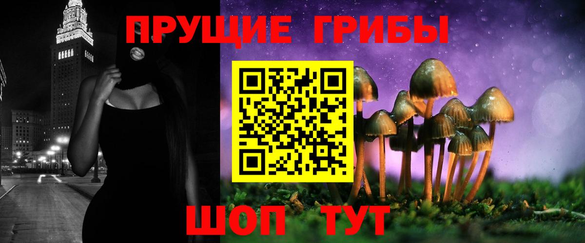 Галлюциногенные грибы прущие грибы Алатырь